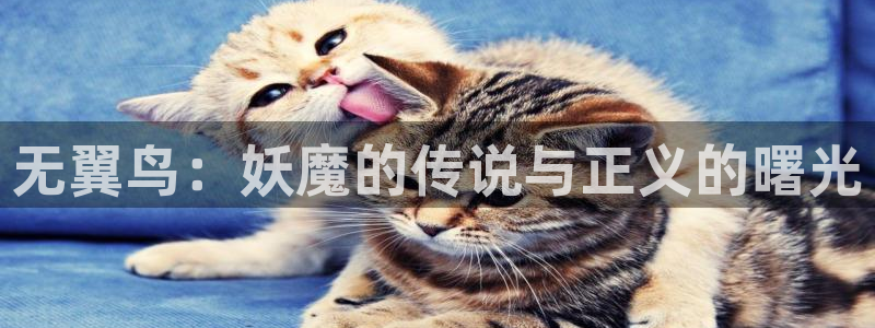 韩漫双男漫画免费：无翼鸟：妖魔的传说与正义的曙光