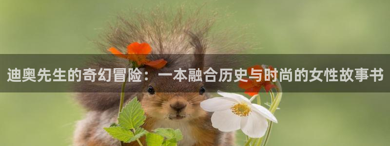 韩漫还有空房吗拷贝漫画：迪奥先生的奇幻冒险：一本融合历史与时尚的女性故事书