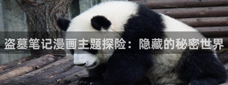 韩漫免费看的网站：盗墓笔记漫画主题探险：隐藏的秘密世界