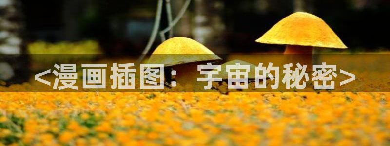 韩漫run away漫画免费：<漫画插图：宇宙的秘密>