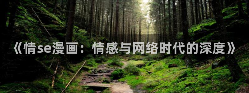 韩漫 网站：《情se漫画：情感与网络时代的深度》
