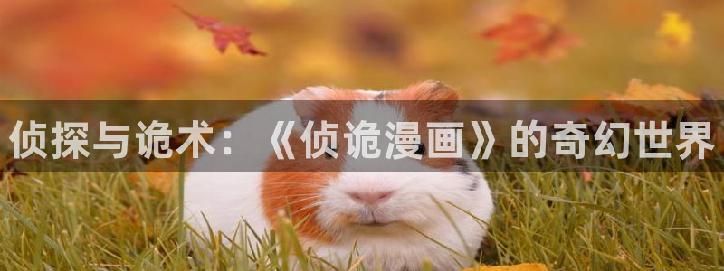 韩漫网站资源：侦探与诡术：《侦诡漫画》的奇幻世界
