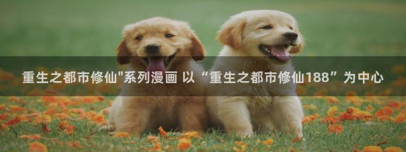 韩漫vip 漫画：重生之都市修仙\