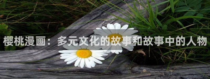 漫画韩漫大尺度：樱桃漫画：多元文化的故事和故事中的人物