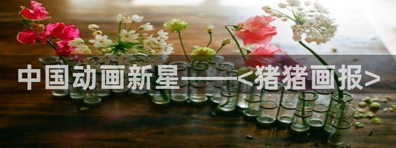 歪歪韩漫画：中国动画新星——<猪猪画报>