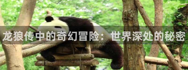 韩漫与岳同屋免费无删减在线观看：龙狼传中的奇幻冒险：世界深处的秘密