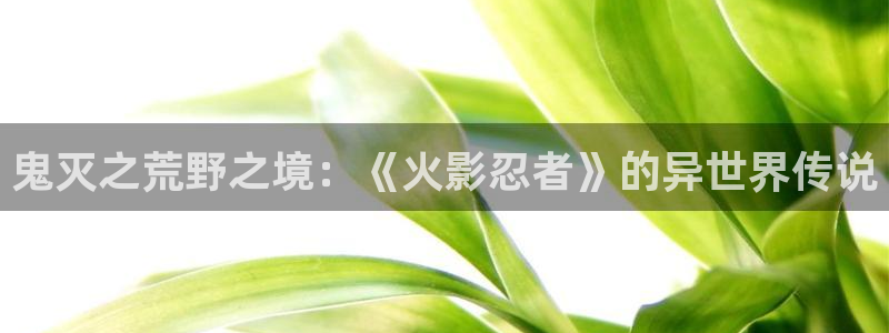 免费看日韩漫画软件：鬼灭之荒野之境：《火影忍者》的异世界传说