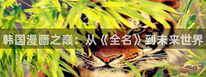 韩漫日漫免费网站：韩国漫画之巅：从《全名》到未来世界