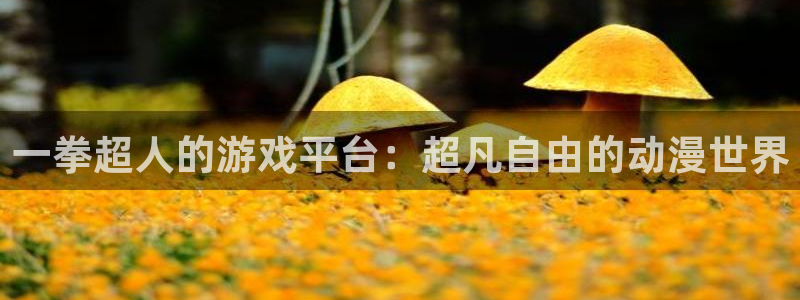 韩漫无删减污漫：一拳超人的游戏平台：超凡自由的动漫世界