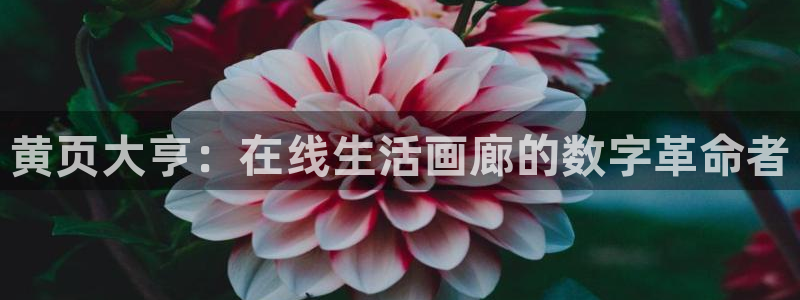 韩漫禁漫网站：黄页大亨：在线生活画廊的数字革命者